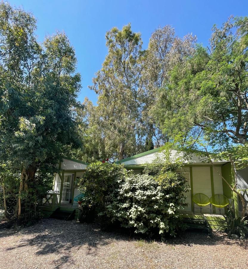 Camping La Cle Des Champs Calvi  Exterior photo