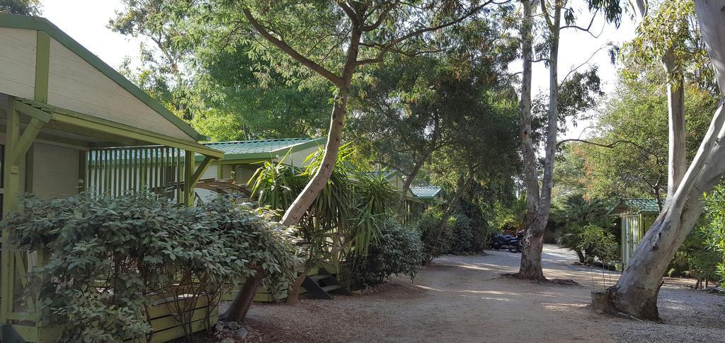 Camping La Cle Des Champs Calvi  Exterior photo