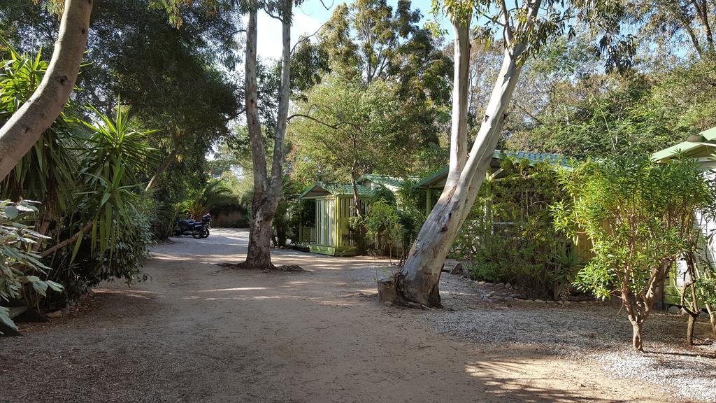 Camping La Cle Des Champs Calvi  Exterior photo